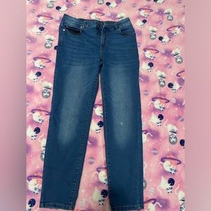 TAHARI CLOE fit solution skinny